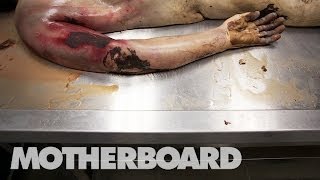 Reviving Dead Bodies in Mexico Trailer [upl. by Ysiad]