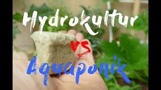 Hydrokultur vs Aquaponik I Unterschiede I Was ist besser [upl. by Eran]