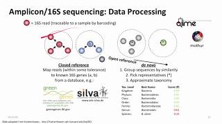 Introduction to Metagenomics for Researchers [upl. by Sane]