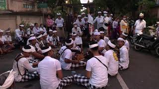 Baleganjur Bebarongan Semarandana “Bopong”  Sekaa Gong Merdu Kumala Br Kumbuh Desa Adat Mas [upl. by Julianna]