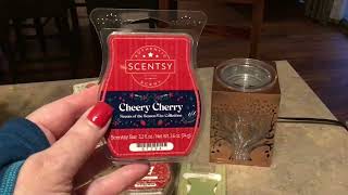 SCENTSY HAUL WITH SCENTS OF THE SEASON NOVEMBER 2024 [upl. by Reinald507]