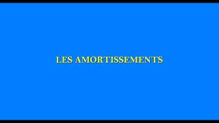 LES AMORTISSEMENTS  SCF [upl. by Kelton47]