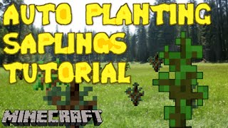 Saplings that Plant Themselves I can do that  Minecraft Tutorial [upl. by Weixel]