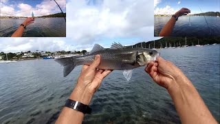 Bass Fishing with a Bombarda Float and a Red Gill Sandeel Soft Lure [upl. by Klinger]