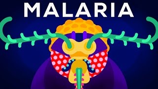 Genetic Engineering and Diseases – Gene Drive amp Malaria [upl. by Tolley]