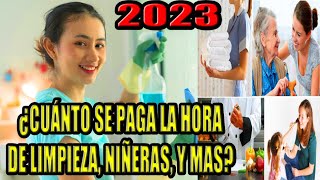 👉 CUANTO SE PAGA LA HORA de empleada domestica 2023 niñera cuidado de personas cocineros [upl. by Nuli]