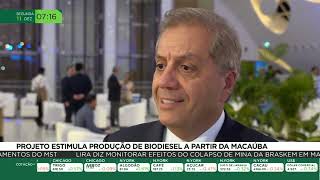 Projeto estimula produção de biodiesel a partir de macaúba [upl. by Ainotal]