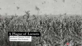 A Plague of Locusts  Nebraska Stories [upl. by Ytrebil11]