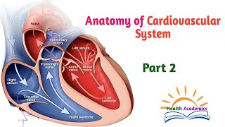 Physiology Introduction to Physiology Interesting Video Lecture in Amharic Speech Part 3 [upl. by Nythsa]