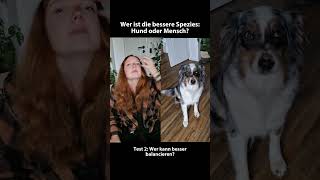 Für welches Team seid ihr🧍‍♂️🐕 [upl. by Nemzzaj]