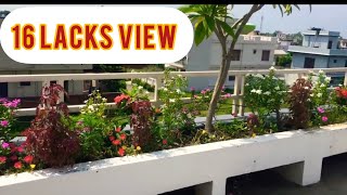 हल्द्वानी उत्तराखण्ड का सबसे खूबसूरत terrace garden rooftop gardening ideas  🏡 terracegarden [upl. by Gnivre909]