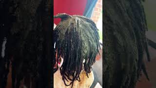 We promised gorgeous rich black results and grey coverage on locs and we are delivering locs [upl. by Skillern]