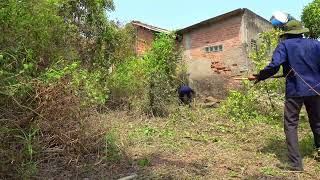 Clean up and transform abandoned house covered with grass [upl. by Irak341]