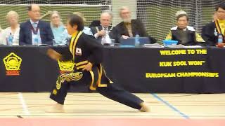 Kuk Sool Won Masters Demonstration 2015 [upl. by Handel311]