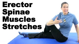 Erector Spinae Muscles Stretches  Ask Doctor Jo [upl. by Gnut]