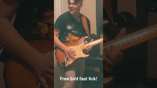 Lynyrd Skynyrd  Free bird Solo Fast Lick [upl. by Mayer]