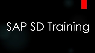 SAP ECC SD Training  Customer Master Data Video 5  SAP SD [upl. by Whitehouse]