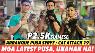 MGA LATEST PUSA SA ARRANQUE  FEBRUARY 29 2024 [upl. by Balfour]