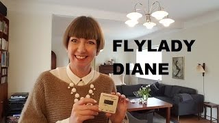 Flylady Diane  Zone 5 Intro March 2017 [upl. by Egon]