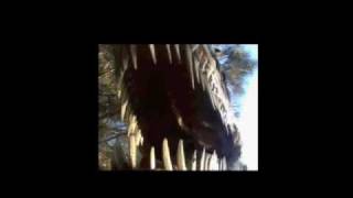 3D Dinosaur Adventure  Growling Allosaurus [upl. by Gilbertson261]