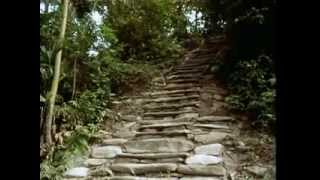 La Ciudad Perdida The Lost City  From the Heart of the World  The Elder Brothers Warning [upl. by Yim]