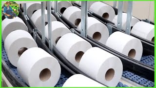 10 Million Tons of Toilet Paper Why the US Makes So Much Every Year [upl. by Trauts529]