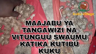 MAAJABU YA TANGAWIZI NA KITUNGUU SWAUMU Katika Kutibu KUKU [upl. by Massab]