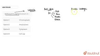 Anthocyanin pigment occurs in [upl. by Kolnick333]