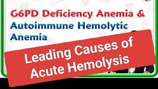 Leading Causes of Pediatric Acute Hemolysis [upl. by Damha250]