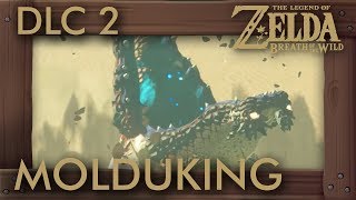 Zelda Breath of the Wild  Champions Ballad Molduking Location [upl. by Pedersen443]