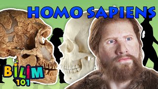 Homo Sapiens nedir İnsan Irkının Evrimi [upl. by Mayeda326]