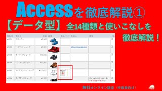 Accessを徹底解説講座①【データ型】全14種類と使いこなし（Access基礎） [upl. by Llewon]
