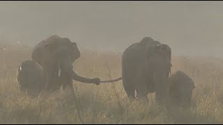 Corbett National Park Who was Jim Corbett [upl. by Nadnerb994]