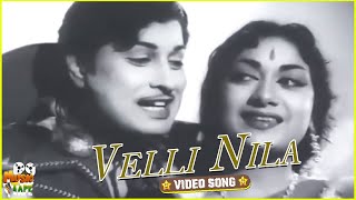 Velli Nila Video Song in Vettaikkara Movie  M G Ramachandran Savitri Ganesh  Tamil Video Song [upl. by Nabalas708]