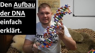 Den Aufbau der DNA einfach erklärt  Wie ist die DNA aufgebaut [upl. by Deadman]