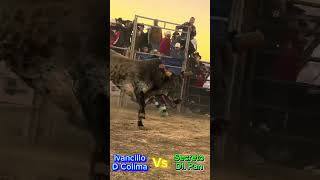 Ivancillo d colina Vs secreto del pan bullrider bullriders jaripeo jaripeobaile jinetes [upl. by Yanffit26]