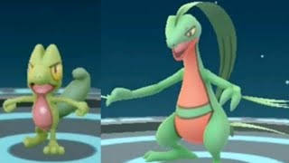 I evolve my treecko into grovyle [upl. by Gail]