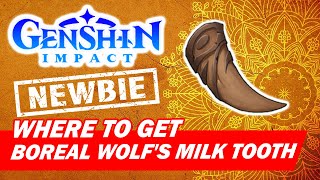 How to get Boreal Wolfs Milk Tooth  Genshin Impact for BEGINNER [upl. by Templas]