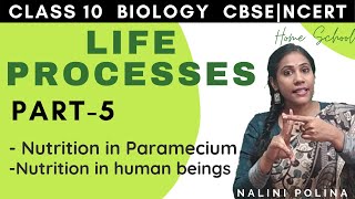 Life Processes class 10  Nutrition  Biology Part5 [upl. by Rednaxela]