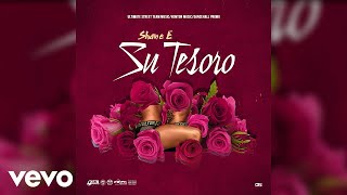 Shane E  Su Tesoro Official Audio [upl. by Tiras]