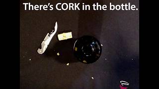 The Cork Conundrum How To Filter Cork From Wine [upl. by Yadseut795]