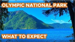 Things to do in Olympic National Park What to expect  Where to Stay amp Self QampA [upl. by Airam513]