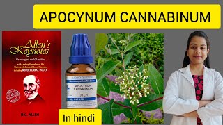 Apocynum cannabinum homeopathic medicineAllens keynotes materia medica in hindi easy explanation [upl. by Xela]