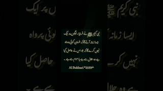 Halal Haram ki tameez khatam muhammadﷺ holyprophetﷺ hadithinislam holyprophetsaw islamic [upl. by Naanac]