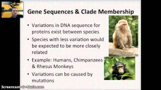 IB 54  Cladograms [upl. by Kcirde165]