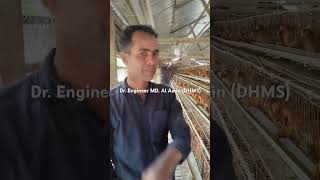 Farmer of Mr Johir EDS Vaccine Push of Layer chicken [upl. by Etienne]