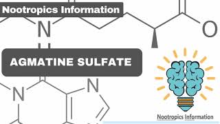 Agmatine Sulfate  Nootropics Information [upl. by Gerek738]