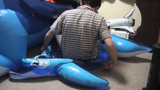 Inflatable dolphin ride to deflate [upl. by Oiramej405]