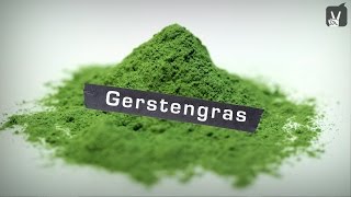 Gerstengras – Welche Wirkung hat Gerstengras [upl. by Etessil]