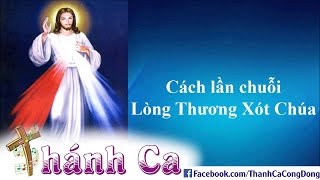 Cách Lần Chuỗi Lòng Thương Xót Chúa  LmGiuse Trần Đình Long [upl. by Nitsej]